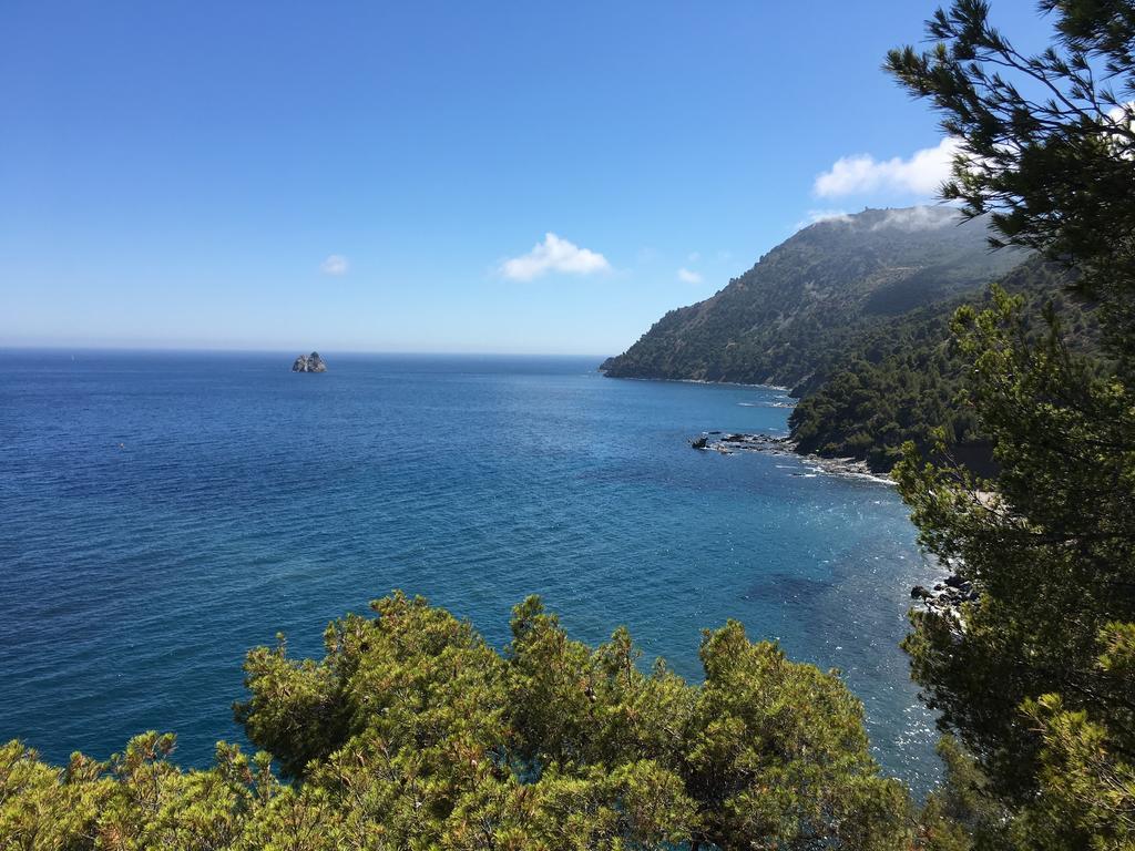 Villa Kerjanus La Seyne-sur-Mer Eksteriør billede